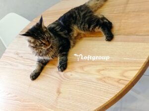 Круглий кухонний стіл купити Київ, Харків, Львів